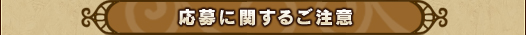 応募に関するご注意